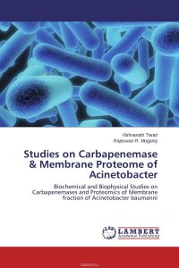 Vishvanath Tiwari and Rajeswari R. Moganty - «Studies on Carbapenemase & Membrane Proteome of Acinetobacter»