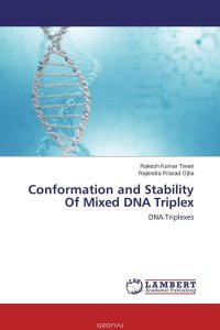 Conformation and Stability Of Mixed DNA Triplex