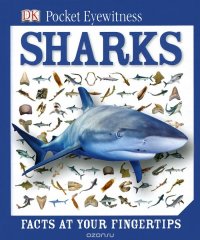 Sharks: Facts at Your Fingertips