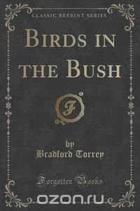 Birds in the Bush (Classic Reprint)