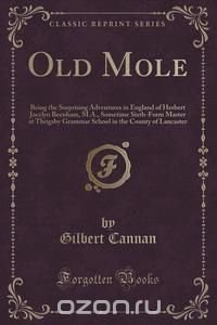 Old Mole