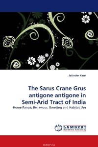 The Sarus Crane Grus antigone antigone in Semi-Arid Tract of India