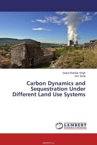 Carbon Dynamics and Sequestration Under Different Land Use Systems