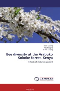 Bee diversity at the Arabuko Sokoke forest, Kenya