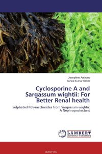 Cyclosporine A and Sargassum wightii: For Better Renal health