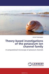 Theory-based investigations of the potassium ion channel family