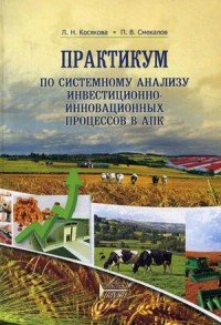 Системномный анализ инвестиционно-инновационных процессов в АПК. Практикум. Учебное пособие