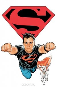 Superboy Vol. 1: Smallville Attacks