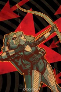 Green Arrow/Black Canary VOL 01: The Wedding Album