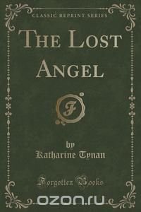 The Lost Angel (Classic Reprint)