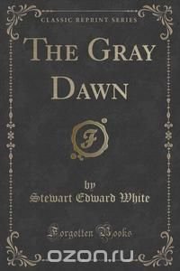 The Gray Dawn (Classic Reprint)