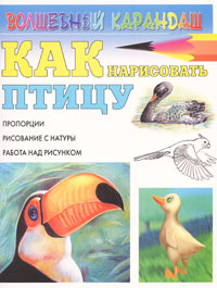 Как нарисовать птицу