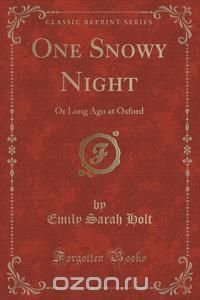 One Snowy Night