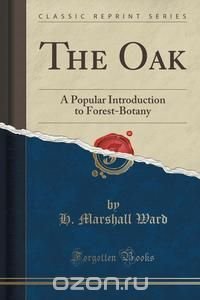 The Oak