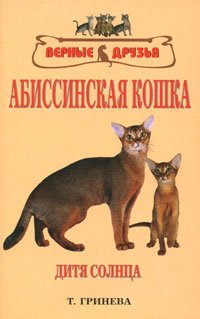 Абиссинская кошка