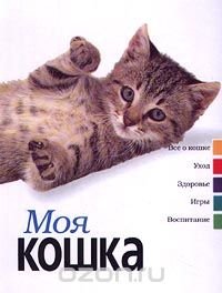 Моя кошка