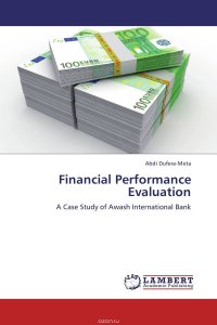 Financial Performance Evaluation