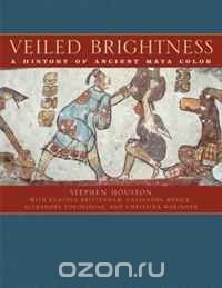 Veiled Brightness: A History of Ancient Maya Color