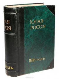 Юная Россия. Ежемесячный журнал для семьи и школы. Годовая подшивка за 1916 год