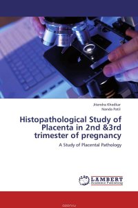 Histopathological Study of Placenta in 2nd &3rd trimester of pregnancy