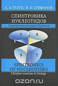 Спинтроника нуклеотидов. Сверхбыстрые реакции в биологии