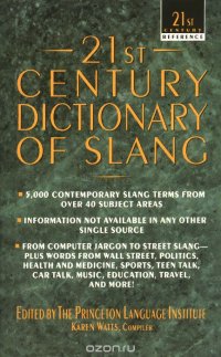 21st Century Dictionary of Slang