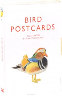 Bird Postcards