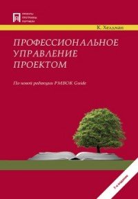 Профессиональное управление проектом