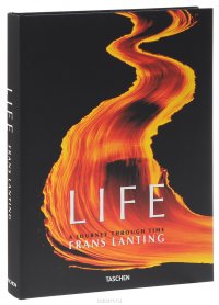 Life: A Journey Through Time