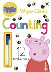 Wipe-Clean Counting