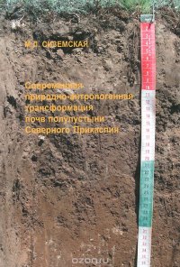 Современная природно-антропогенная трансформация почв полупустыни Северного Прикаспия