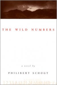 The Wild Numbers