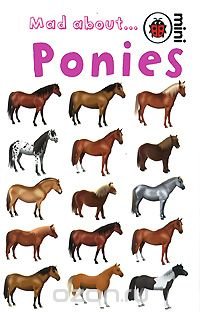 Mad about... Ponies