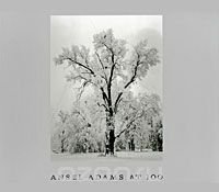 Ansel Adams at 100