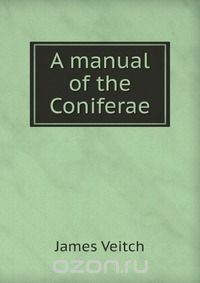 A manual of the Coniferae