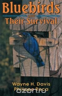 Bluebirds and Their Survival