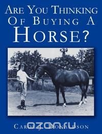 Are You Thinking Of Buying A Horse?