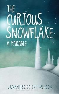 The Curious Snowflake