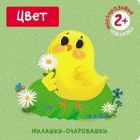 Цвет (+ наклейки)