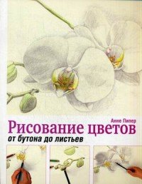 Анне Пипер - «Рисование цветов от бутона до листьев»