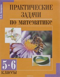 Математика. Практические задачи. 5-6 классы