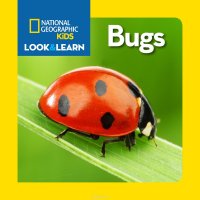 LOOK & LEARN: BUGS