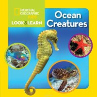 LOOK AND LEARN: OCEAN CREATURE