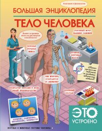 Большая энциклопедия. Тело человека