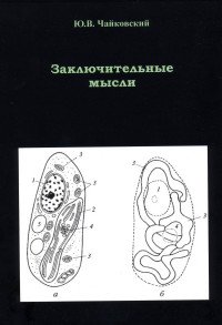 Заключительные мысли