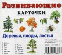 Развивающие карточки. Деревья, плоды, листья