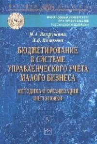 Бюджетирование в системе управленческого учета малого бизнеса. Методика и организация постановки