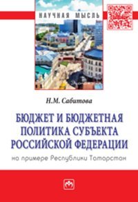 Бюджет и бюджетная политика субъекта Российской Федерации (на примере Республики Татарстан)