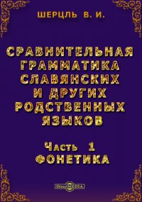 Сравнительная грамматика славянских и других родственных языков