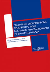 Социально-экономические проблемы региона в условиях инновационного развития территорий